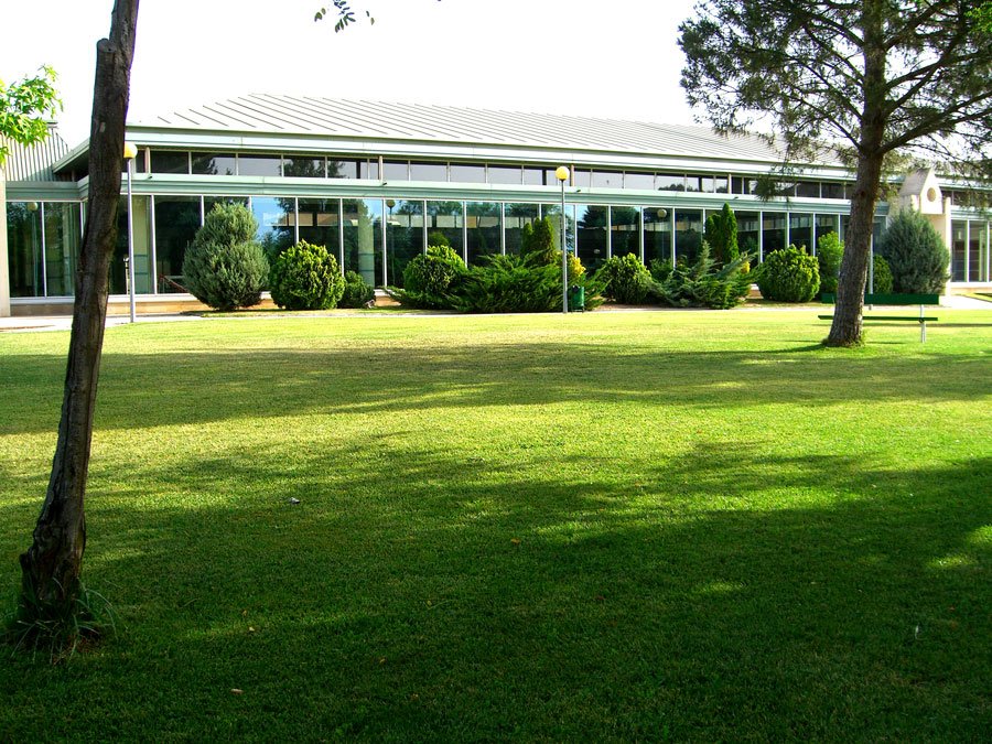 Exterior piscina