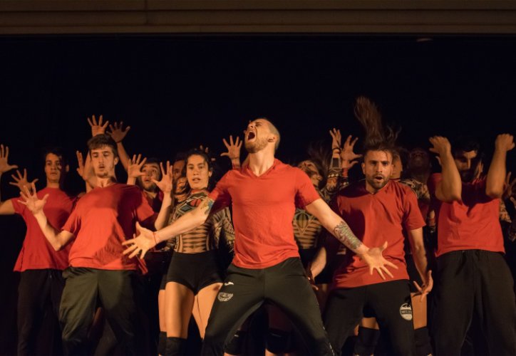 Expressió Circ Dansa